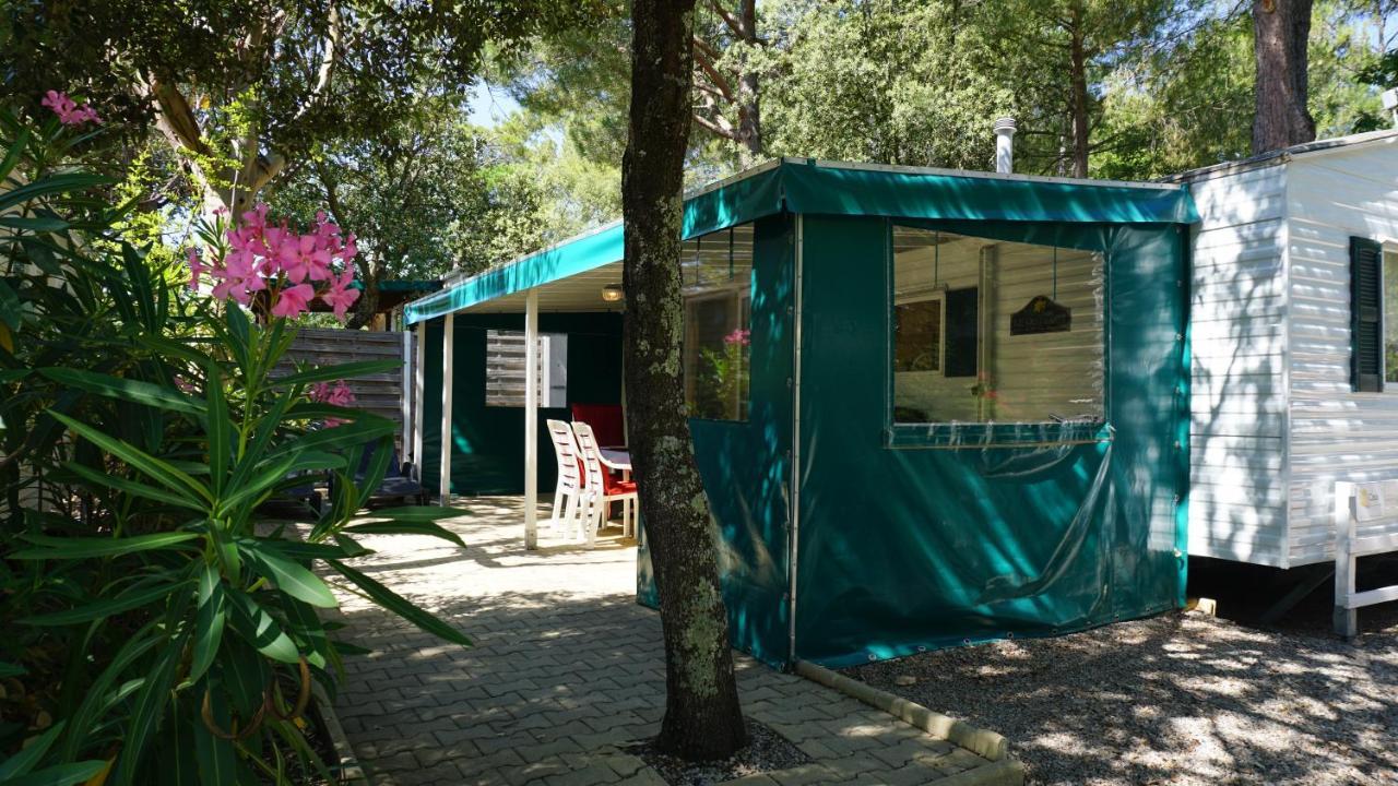 Chalets Met Buitenkeuken Op Camping Lei Suves - Joycasa Рокбрюн-сюр-Аржан Екстериор снимка