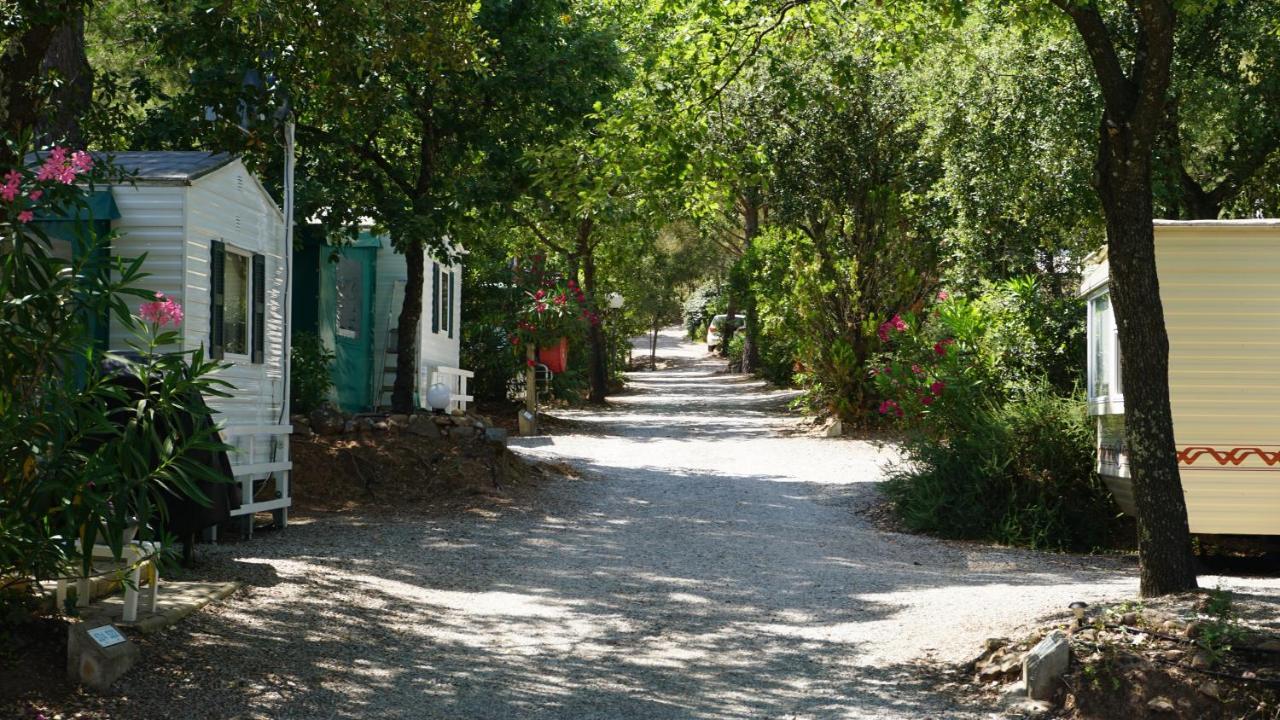 Chalets Met Buitenkeuken Op Camping Lei Suves - Joycasa Рокбрюн-сюр-Аржан Екстериор снимка