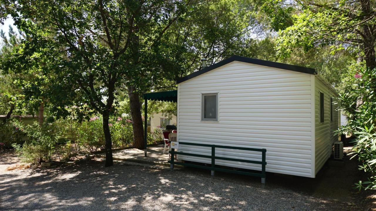 Chalets Met Buitenkeuken Op Camping Lei Suves - Joycasa Рокбрюн-сюр-Аржан Екстериор снимка