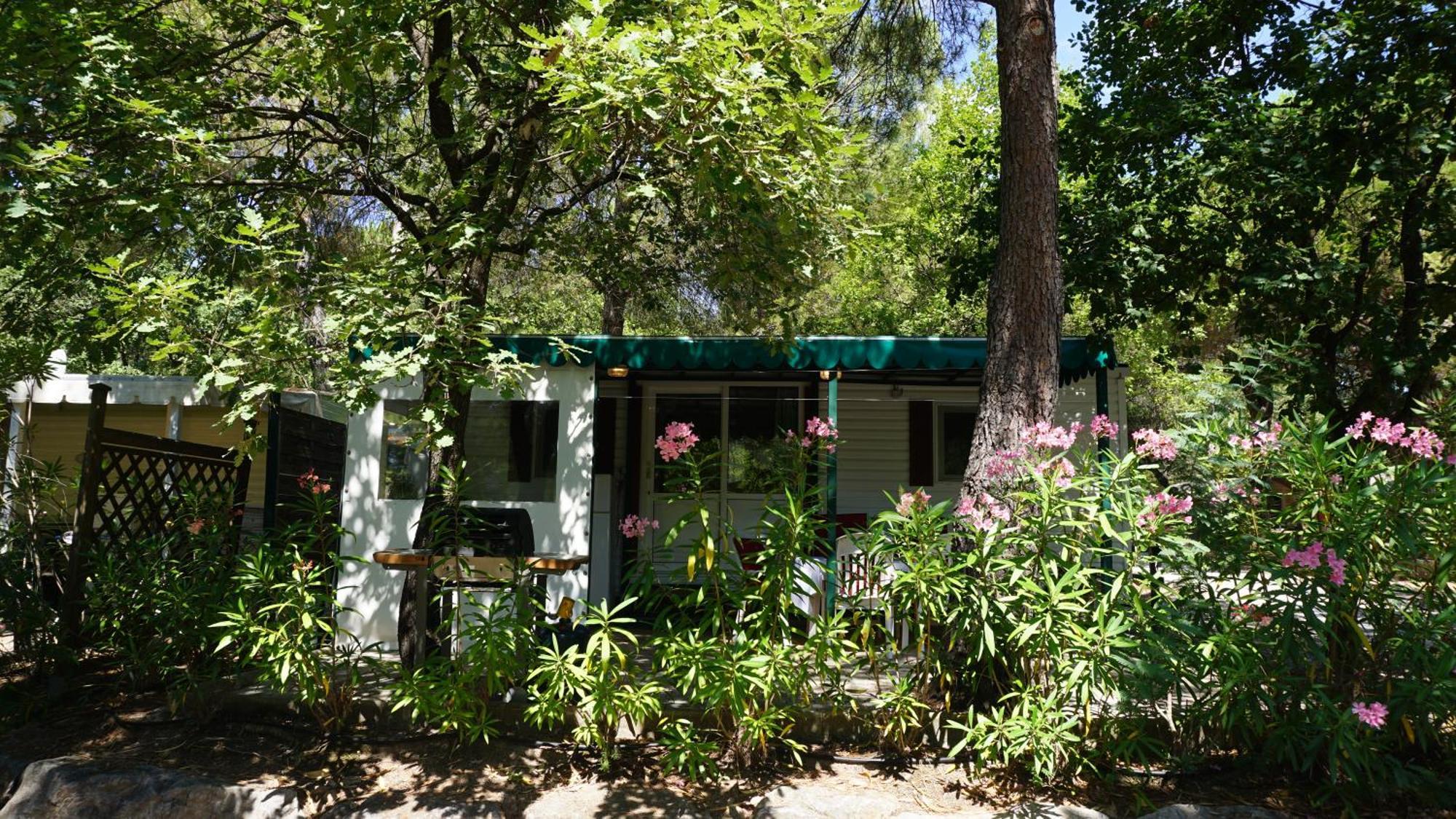 Chalets Met Buitenkeuken Op Camping Lei Suves - Joycasa Рокбрюн-сюр-Аржан Стая снимка